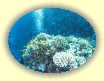 IMG_2007_05_27 17_58_30 * 2240 x 1678 * (707KB)